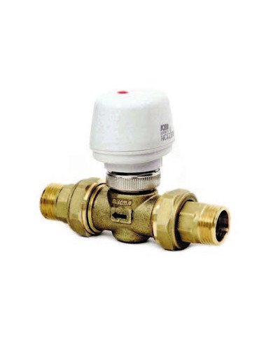 Valvola di zona a 2 vie a Pistone Icma