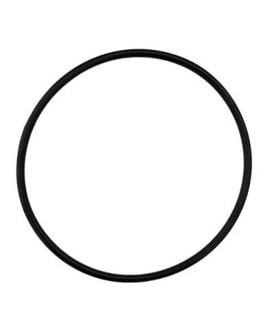 O-ring bicchiere dosatec 200-300