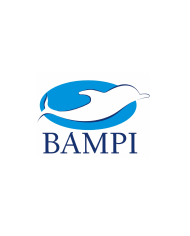 Bampi