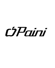 Paini