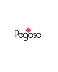 Pegaso